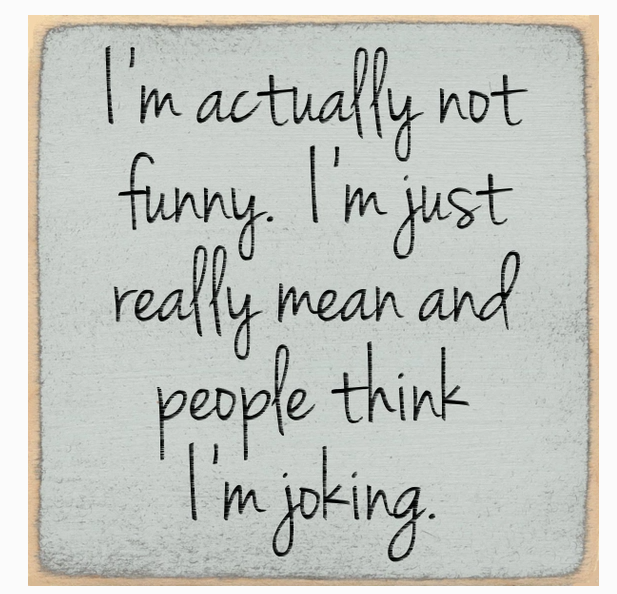 I'm Actually Not Funny...4 x 4 Sign