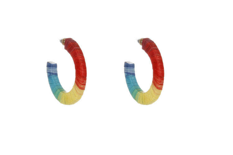 Bright Multi Woven Thread Earrings