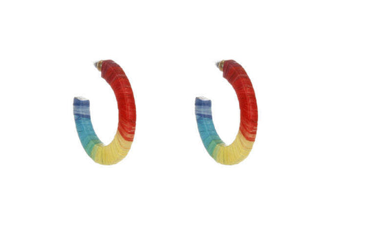 Bright Multi Woven Thread Earrings