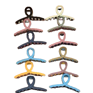 Two color Matte Minimalist Hair Jaw Clip