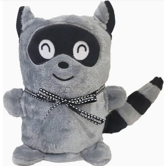 Raccoon Cuddly Blanket