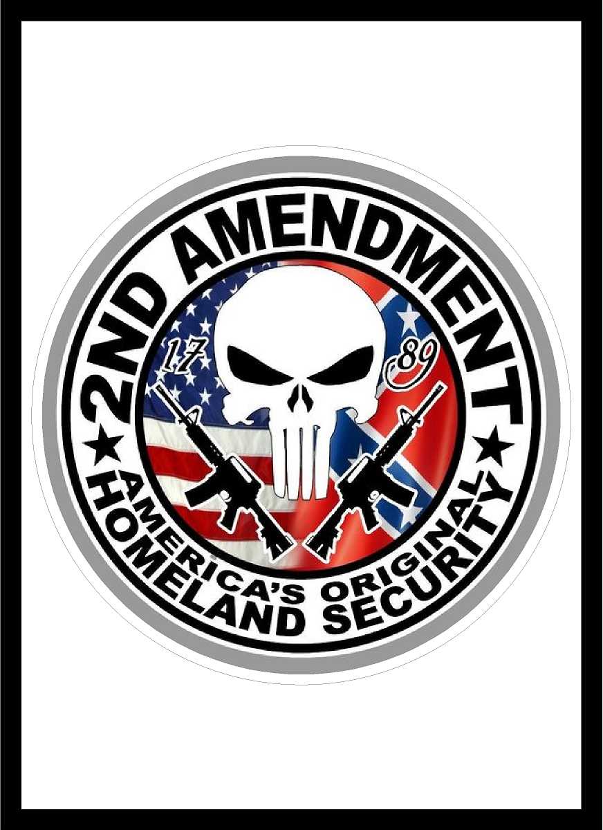 2nd Amendment Punisher Decal