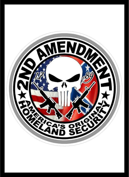 2nd Amendment Punisher Decal